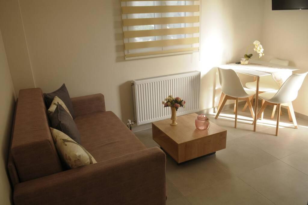 Lividio Apartment Lefkada City Екстер'єр фото
